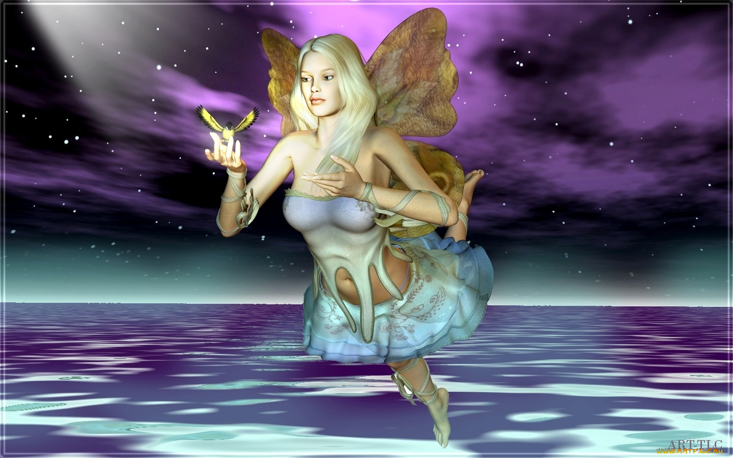 3, , elves, 